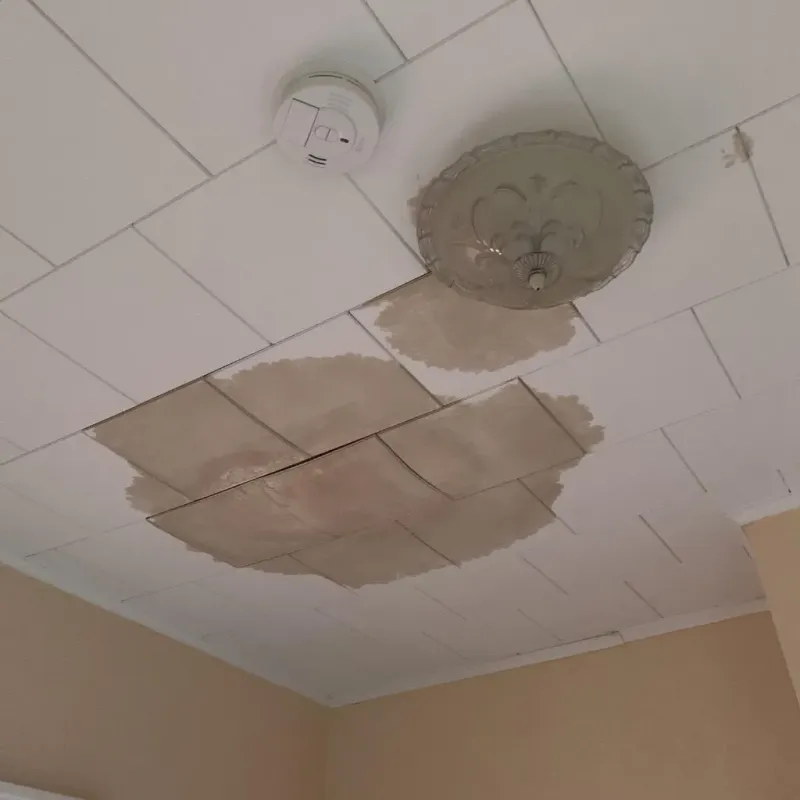 Ceiling Water Damage Repair in Macy, NE