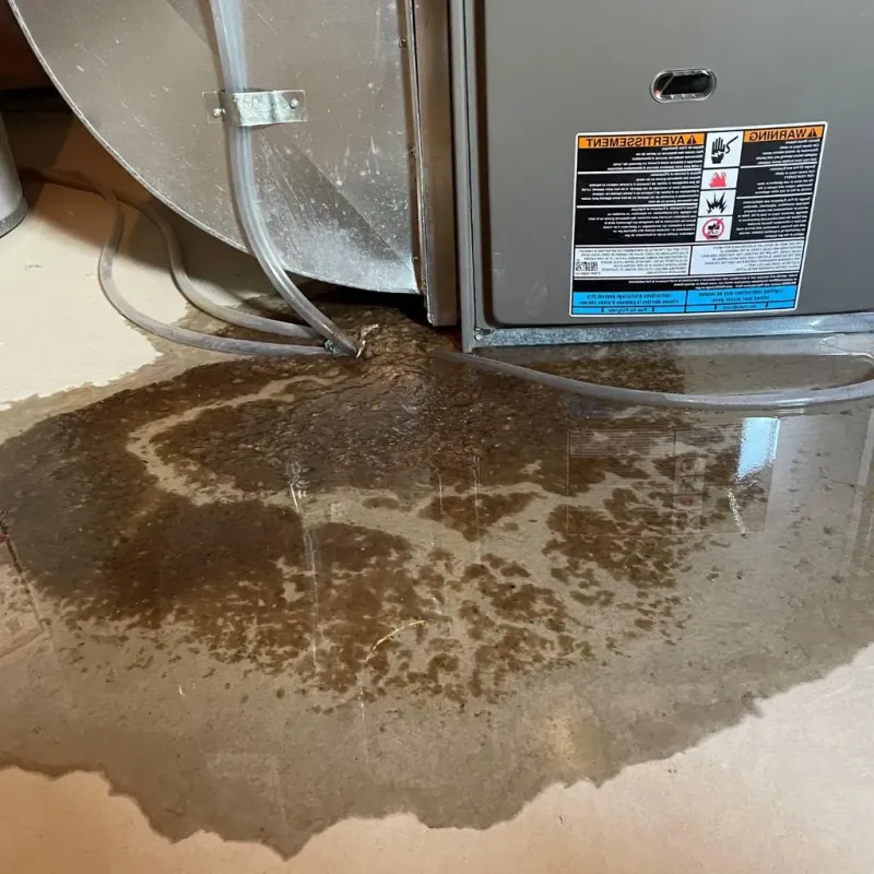 Pipe Burst and Leak Restoration in Macy, NE